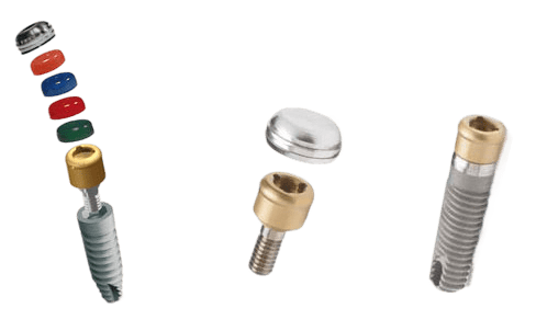 Pròtesis sobre Locators - Leseu Dental
